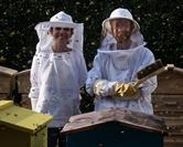 40 community project successes in the H&F Hive!