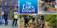 The Essex Crowd - Ideas for Basildon