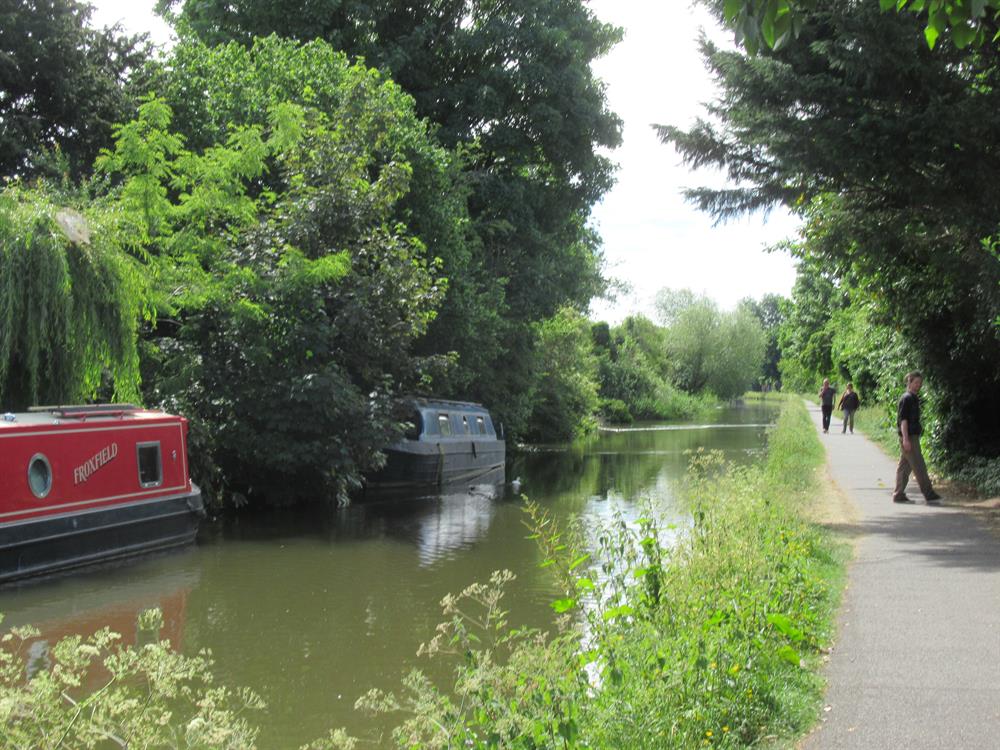 Create an arboretum in Worcester