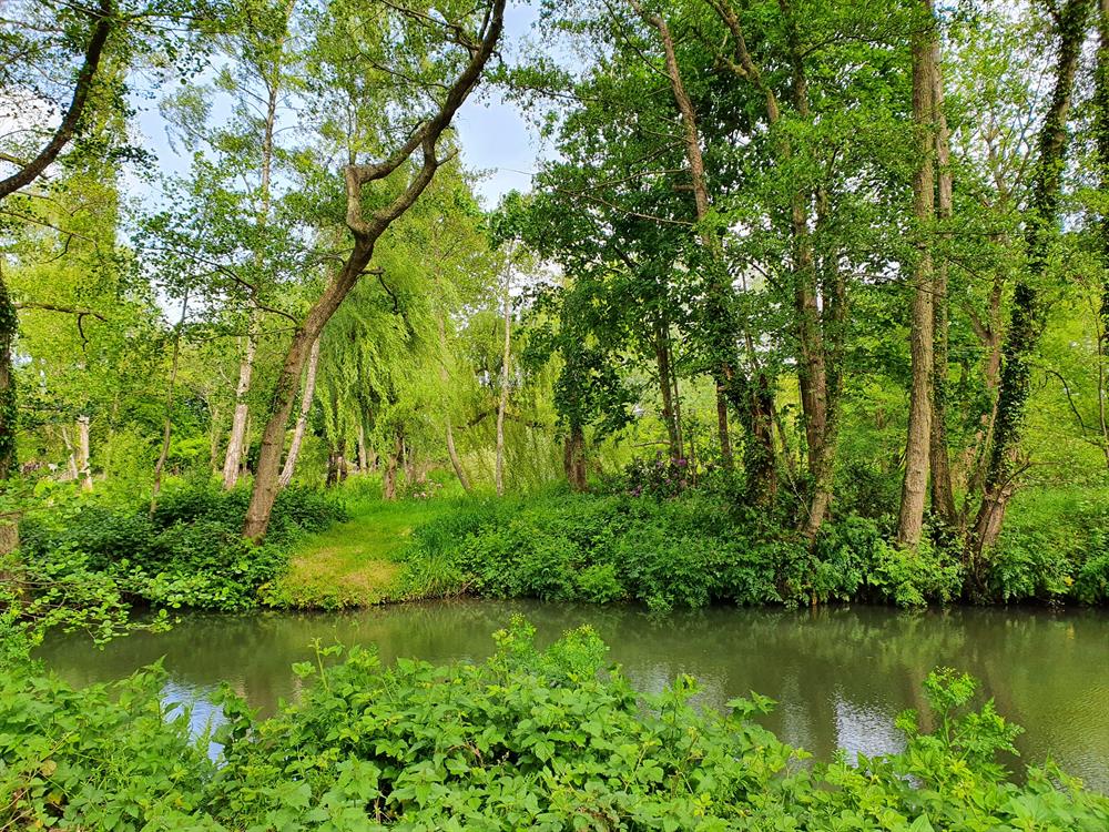 'Plant Britain' in Petworth