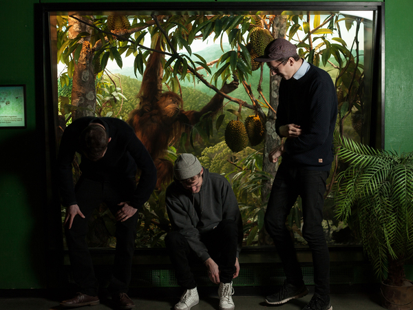 Berlin Zoo feat. Sofa T