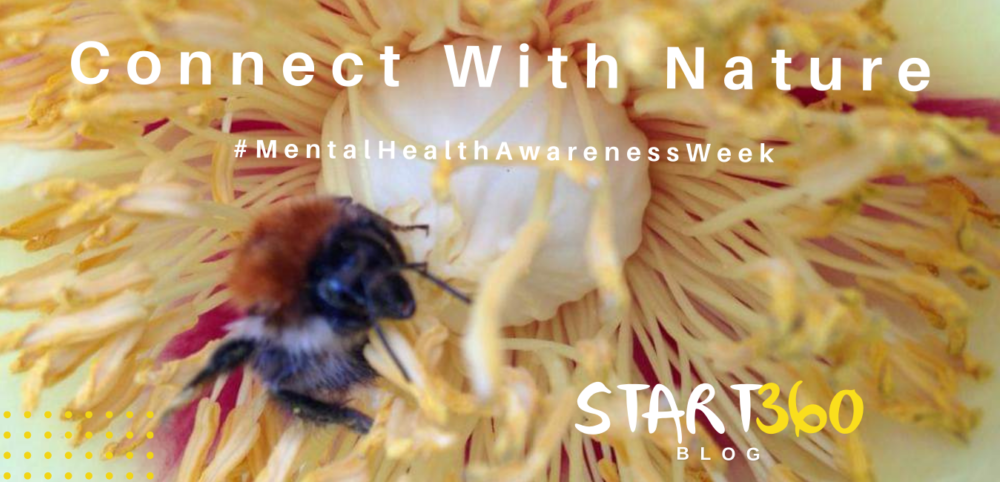 Blog Connect With Nature