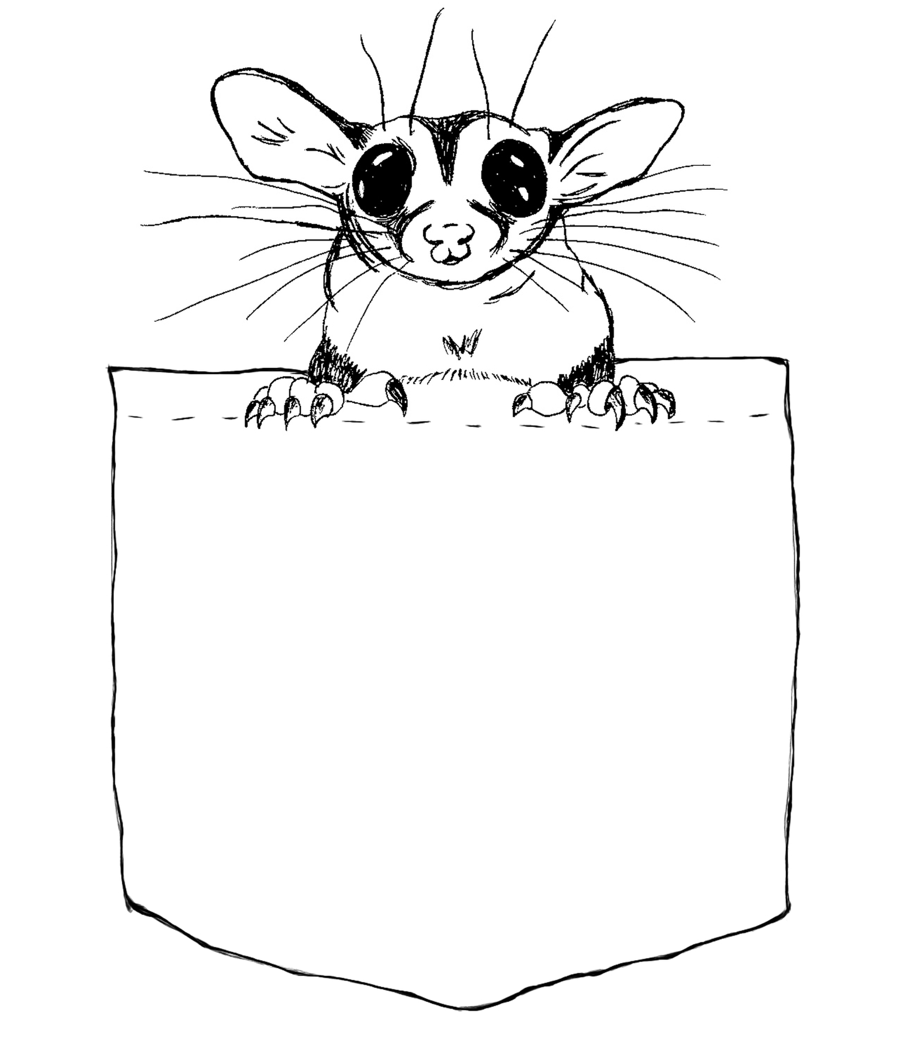 Pocket Glider on canvas tote - sugar glider tote bag design