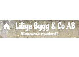 Liliya Bygg & Co AB