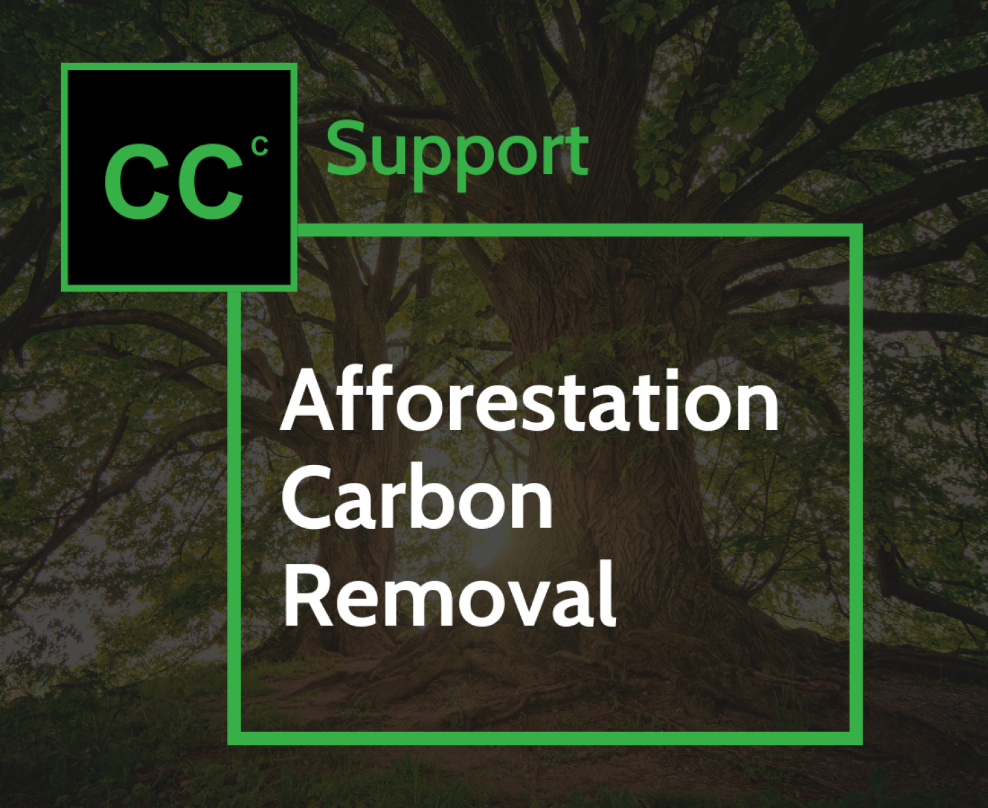Afforestation