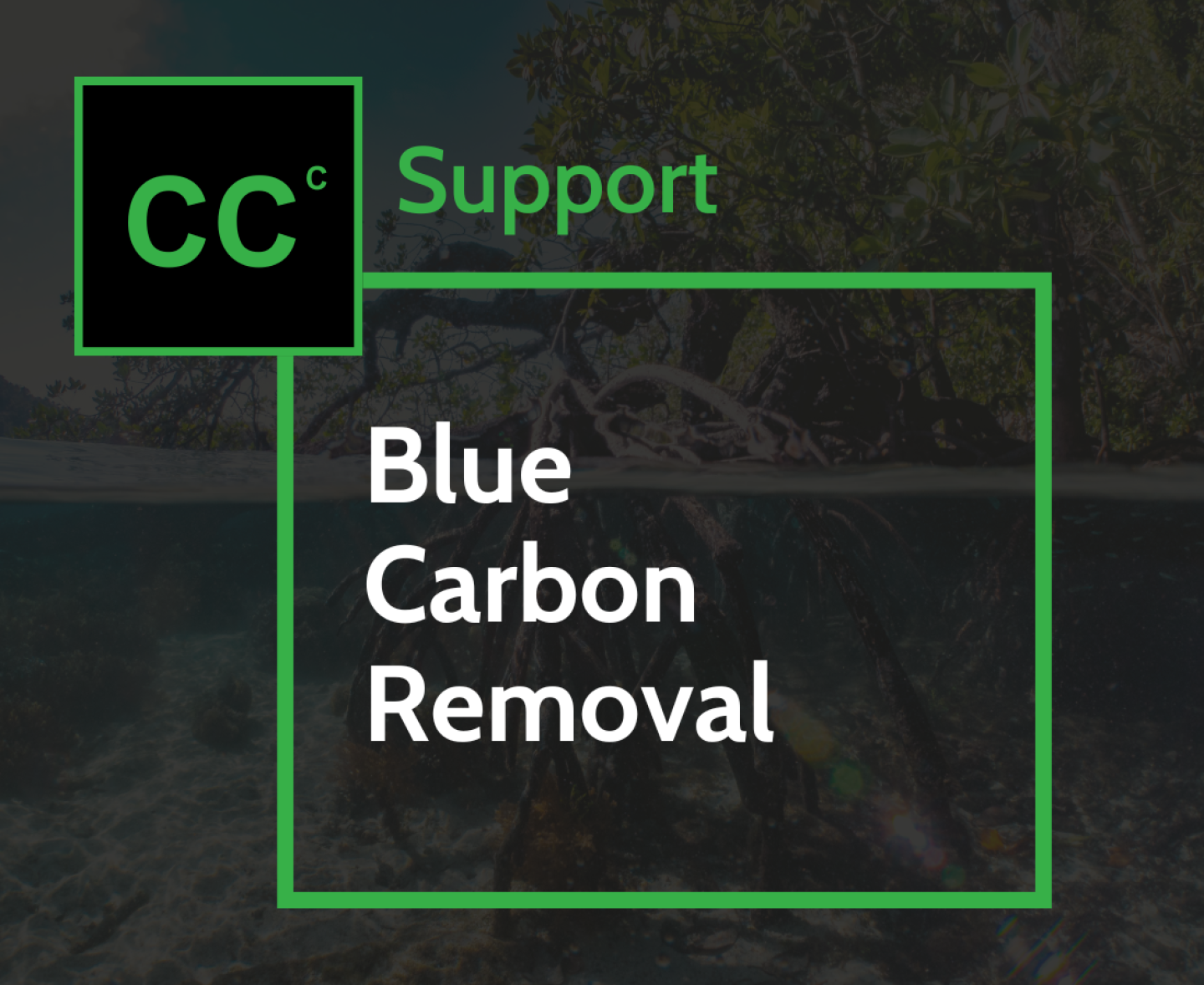 Blue Carbon
