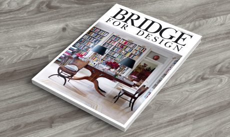 BRIDGE FOR DESIGN- AUTUMN 2017