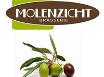 Brasserie Molenzicht
