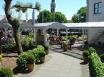 Grand Café D'Oude Werf