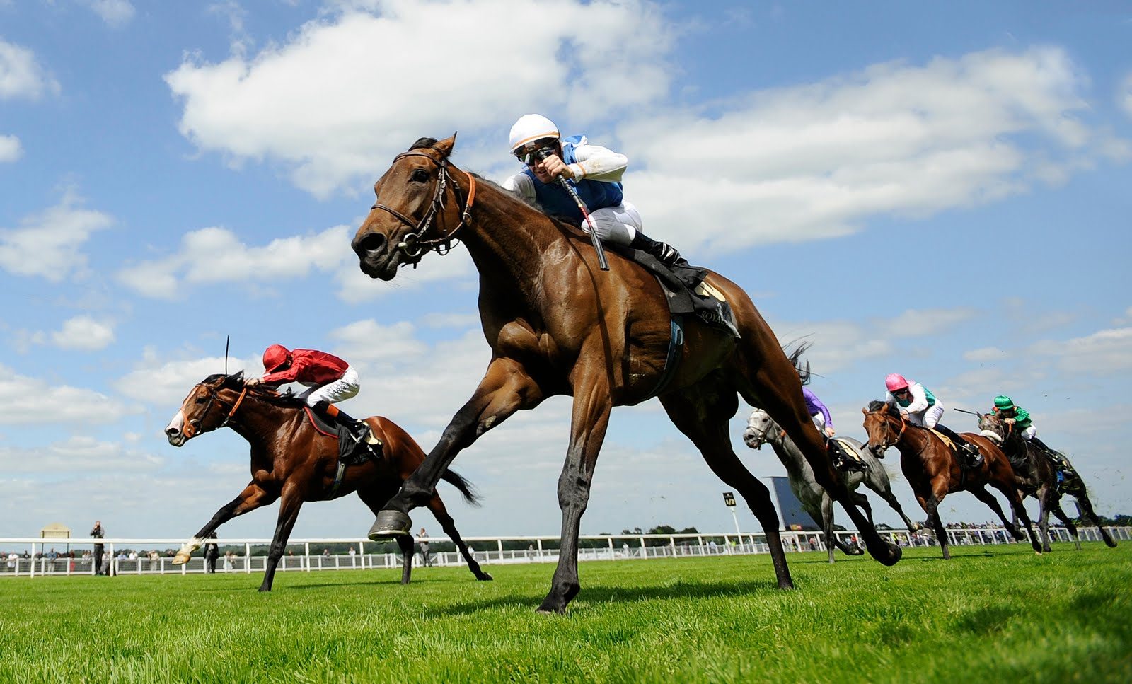 Ascot