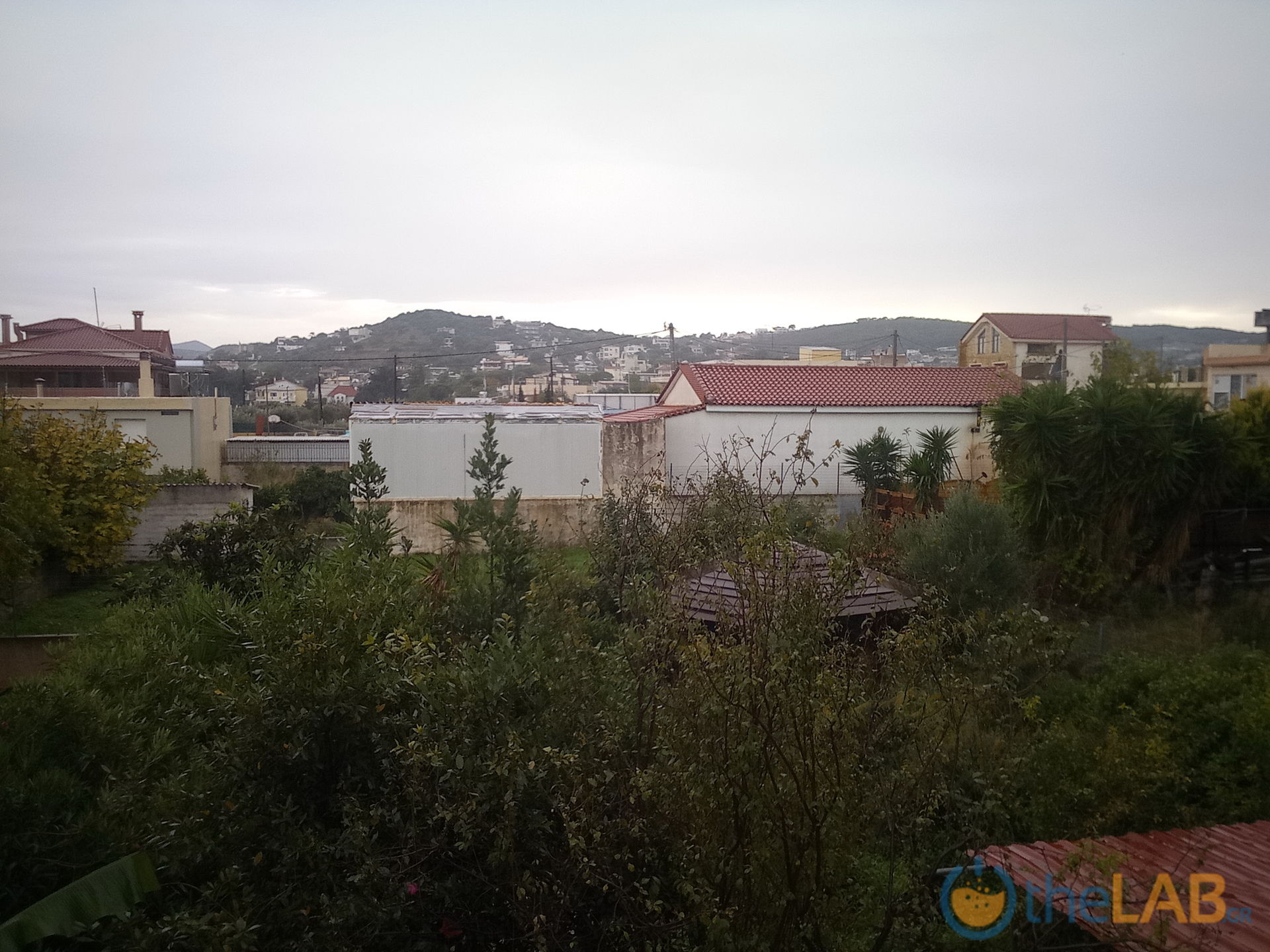 large.IMG_20191212_093947.jpg