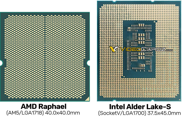 large.small_amd_raphael_intel_alder_lake-s.jpg