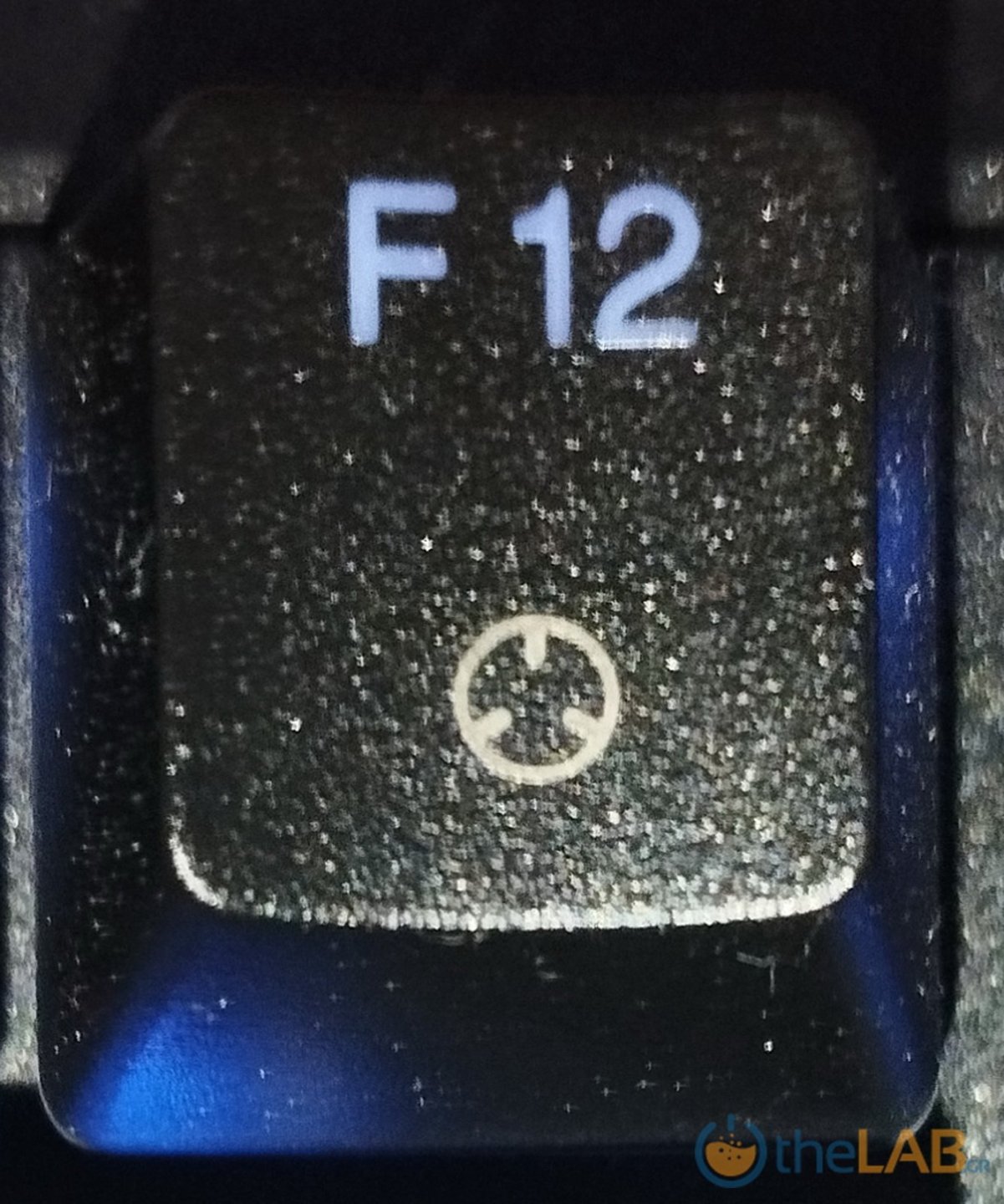large_32.jpg