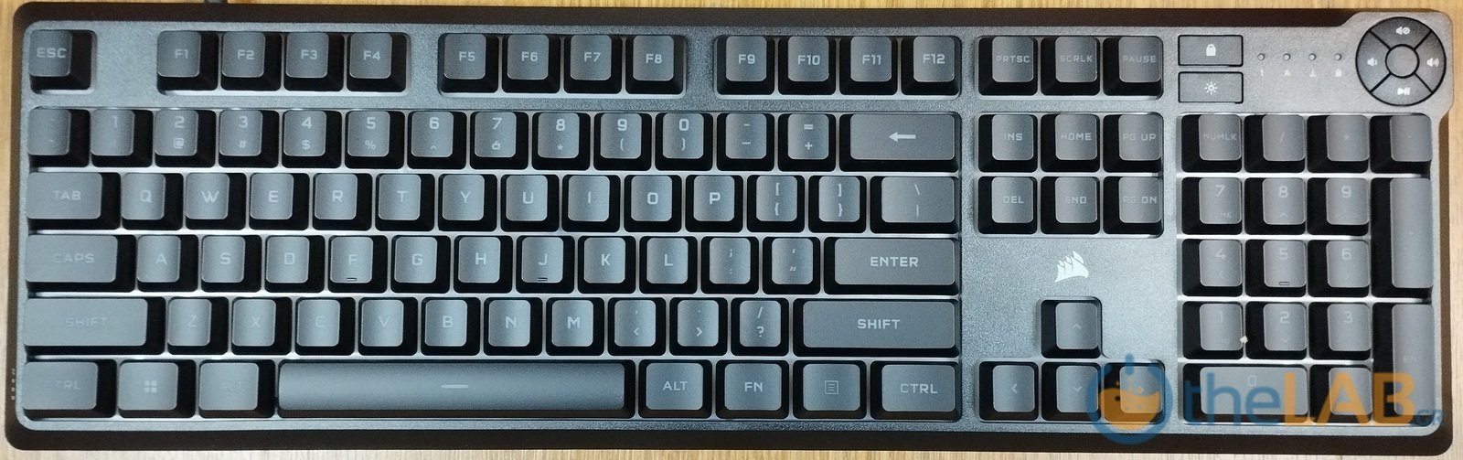 large_12.jpg