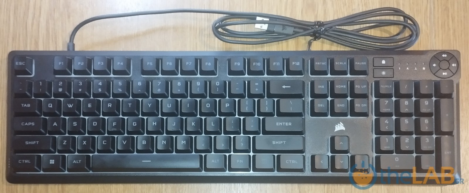 large_24.jpg