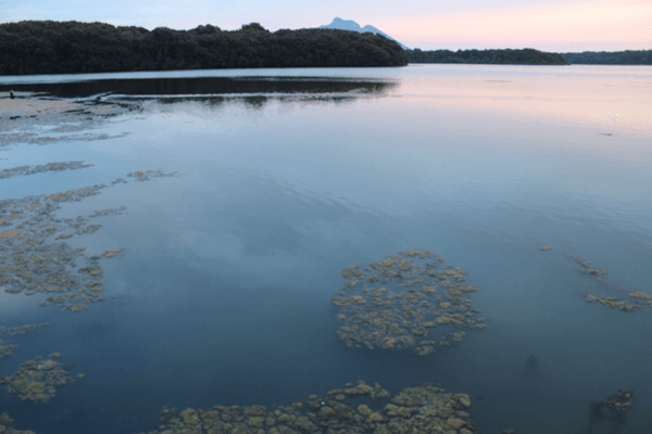 lago-sabaudia-crop