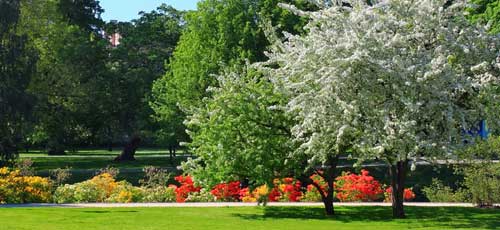 Festival international des jardins