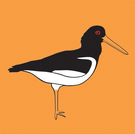 imgError_restLists