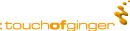 www.touchofginger.com