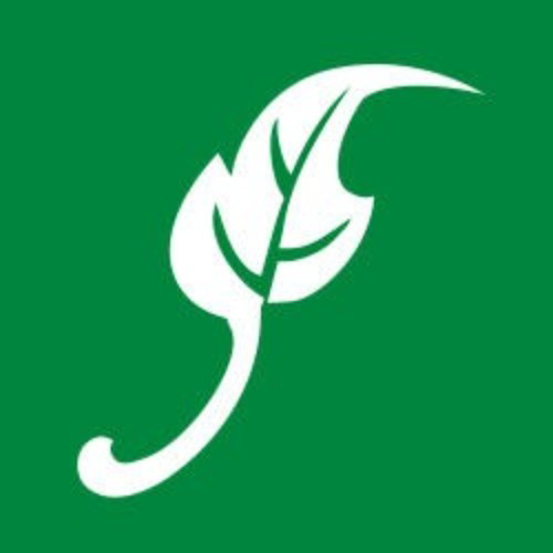 Leaffilter Gutter Protection