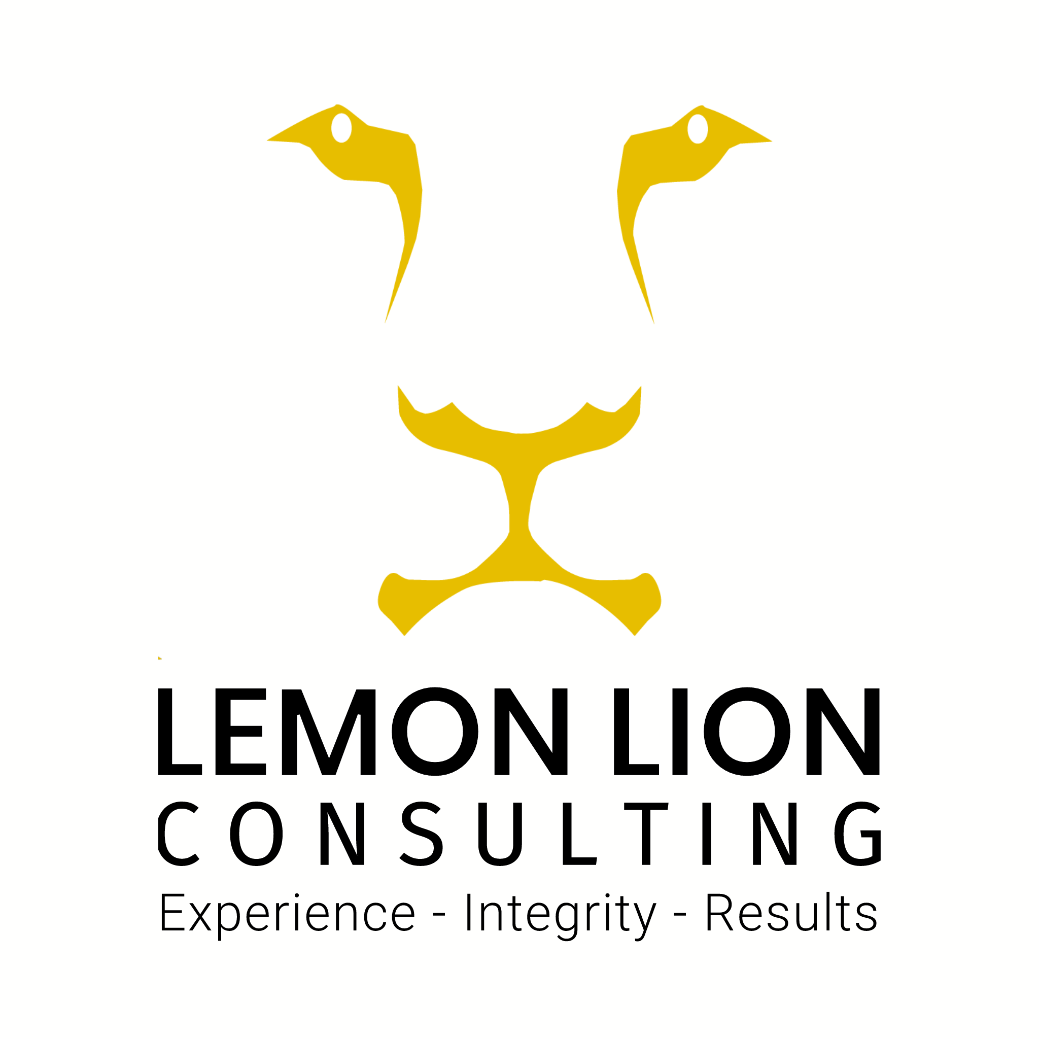Lemon Lion Consulting