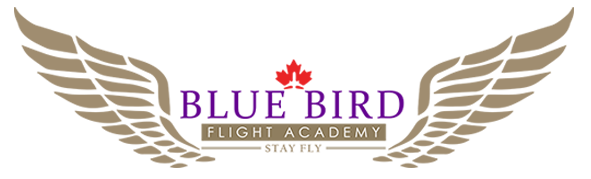 Bluebird Flight Academy INC -