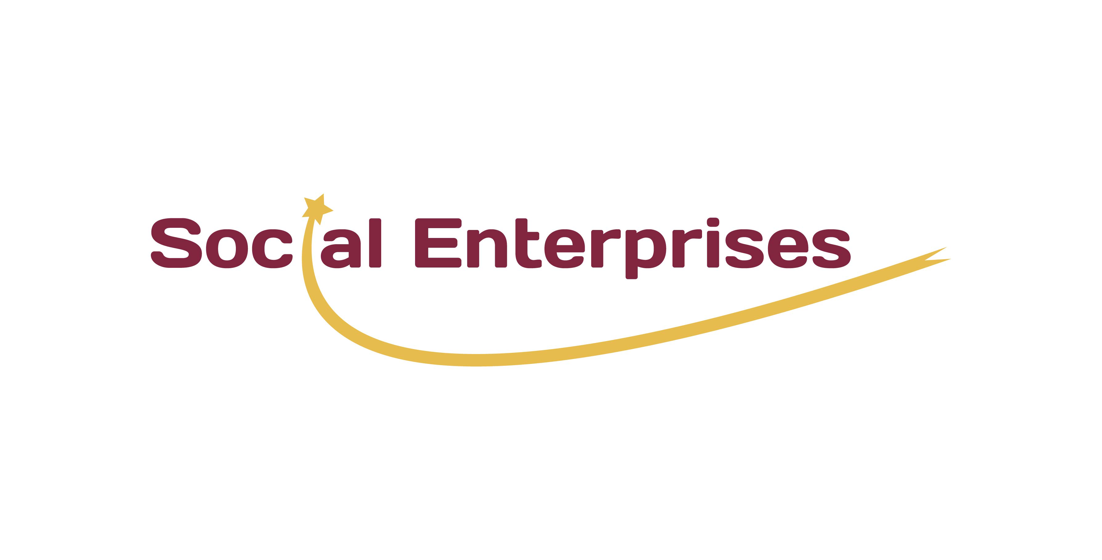 SOCIAL ENTERPRISES LLC