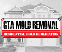 GTA Mold Removal Mississauga
