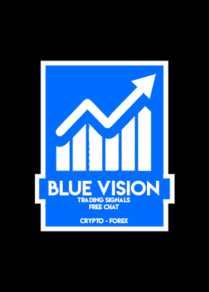 Blue Vision Trading