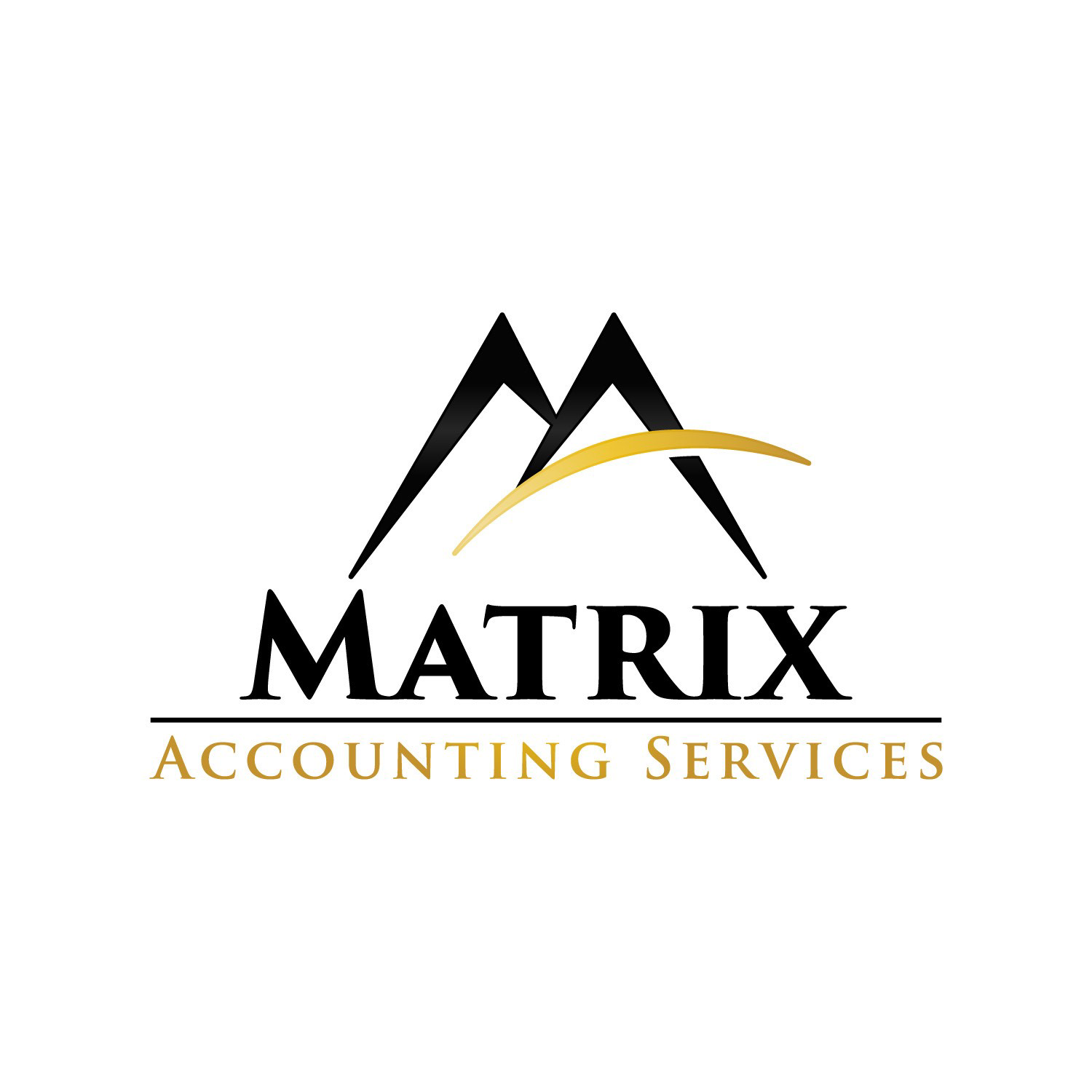 MATRIX ACCOUNTING SERVICES