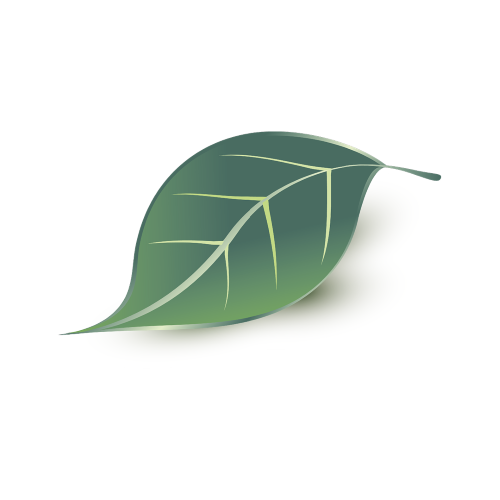 Finlandia Pharmacy and Natural Health Centre