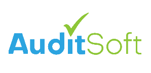 auditsoft.co