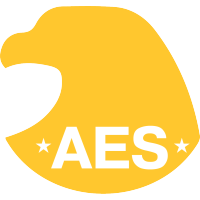 Allied Emergency Services, INC