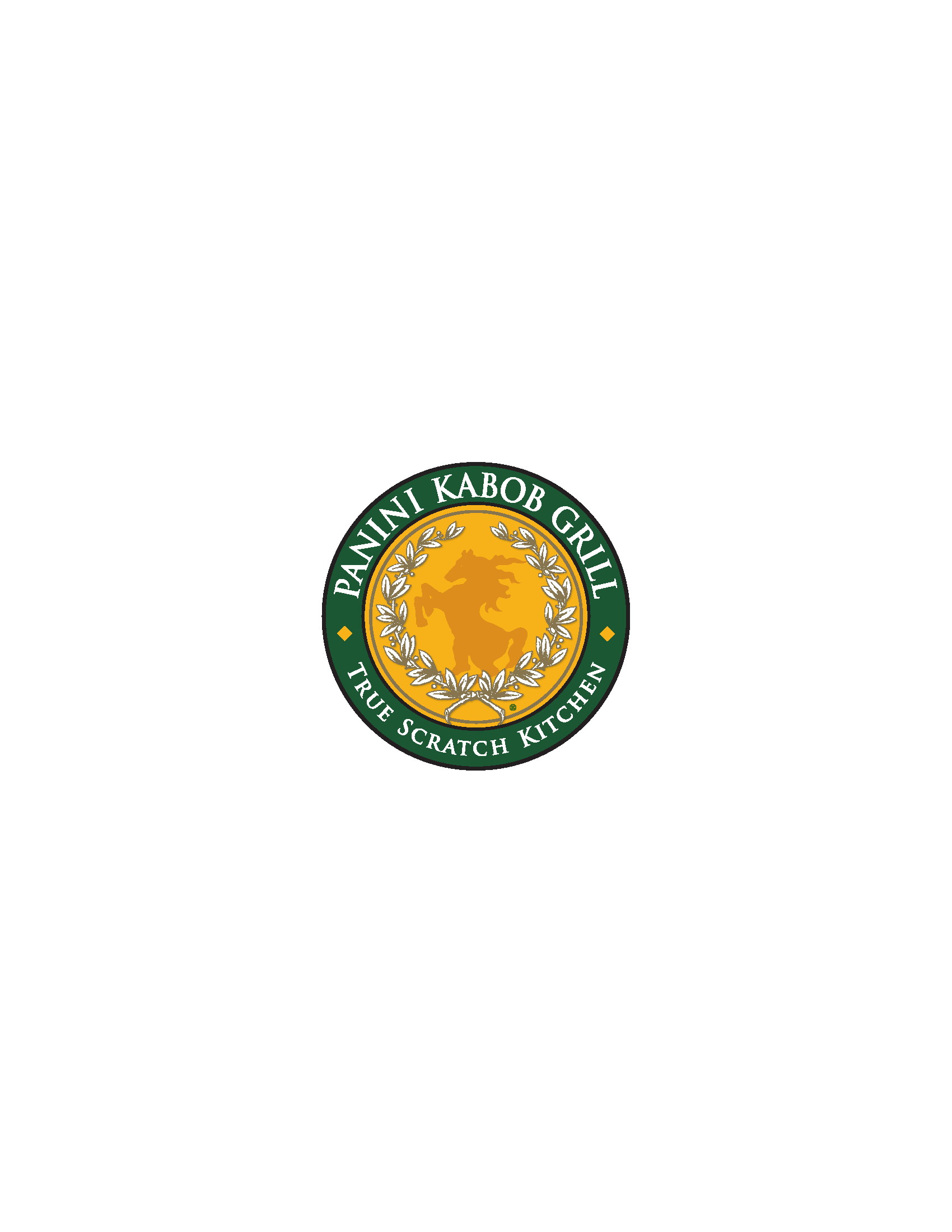 Panini Kabob Grill