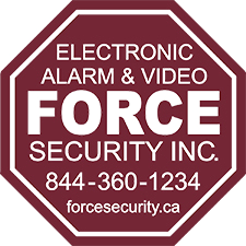 Force Security Inc