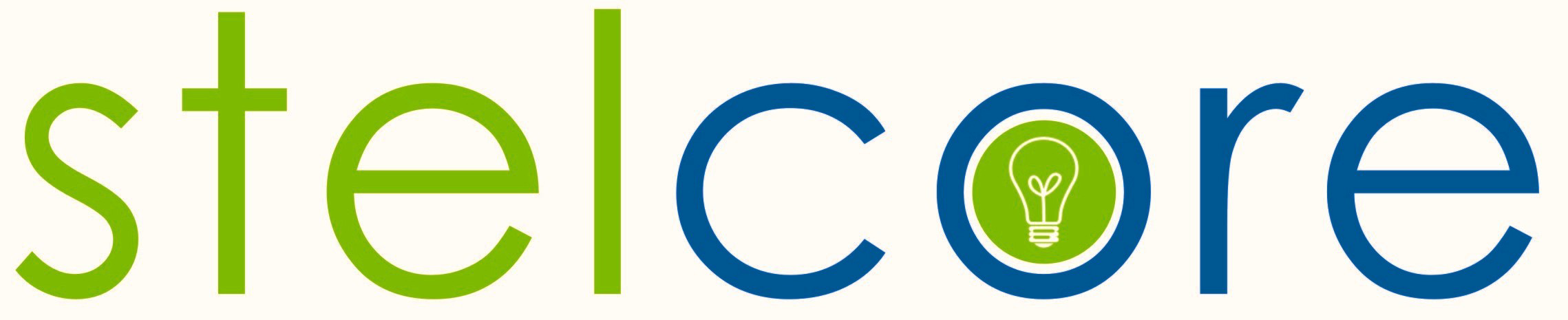 stelcoregroup.com