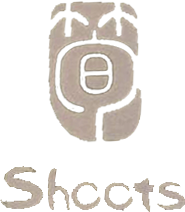 SHOOTS CHINESE RESTAURANT