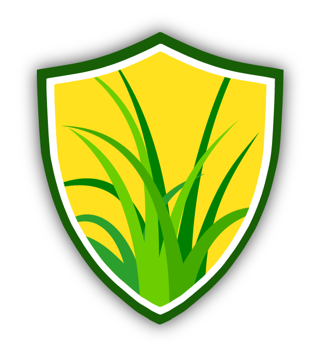Ezcarelandscape