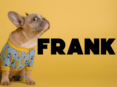 Frank Pet Insurance