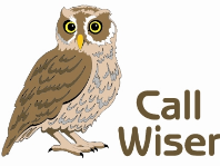 Call Wiser