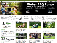 www.garden4less.co.uk