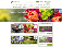 Crocus.co.uk Ltd