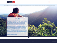 Travelex US