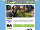 GreenZone Bikes