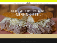 Cowtown Beef Shack