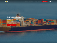 Latin American Cargo