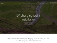Elecology