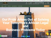 Rayness Analytica, LLC