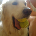 Sascha