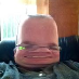 Lars Andersen